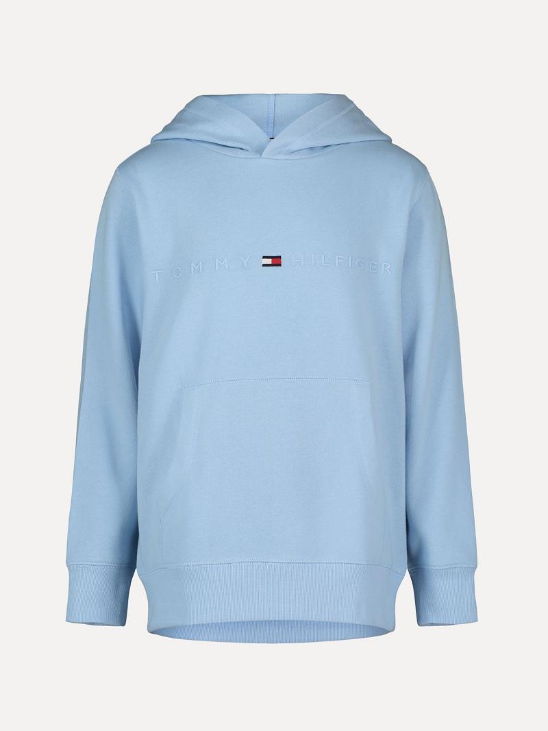 Fiú Tommy Hilfiger Little Tonal Logo Hoodies Kék | HU 2113RVD